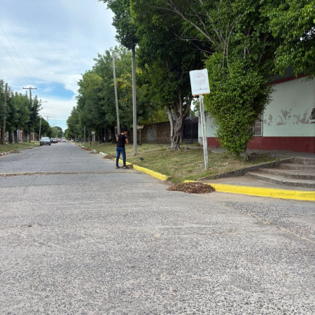 Se continúa realizando tareas diarias, durante toda la jornada en distintos puntos de la ciudad.